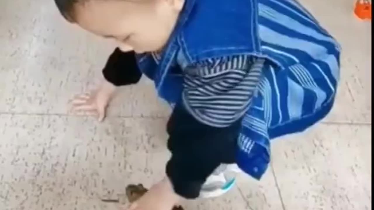 The boy 👦 plays ▶️ with frog 🐸 😂 🤣 😳 😆