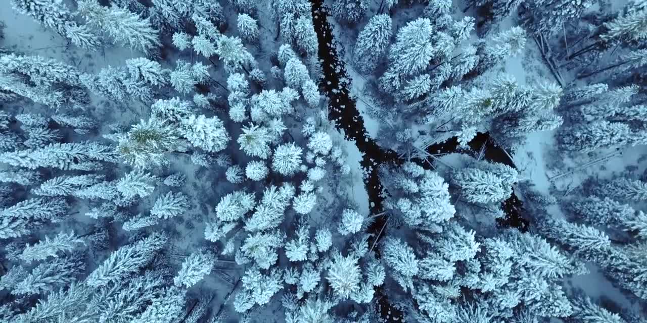 Bringing Bentley to the ski slopes