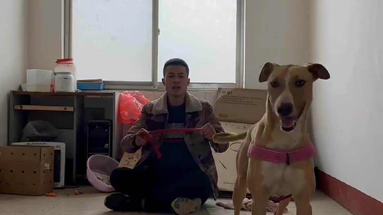 Dog ne apne Malik ki kaise help ki