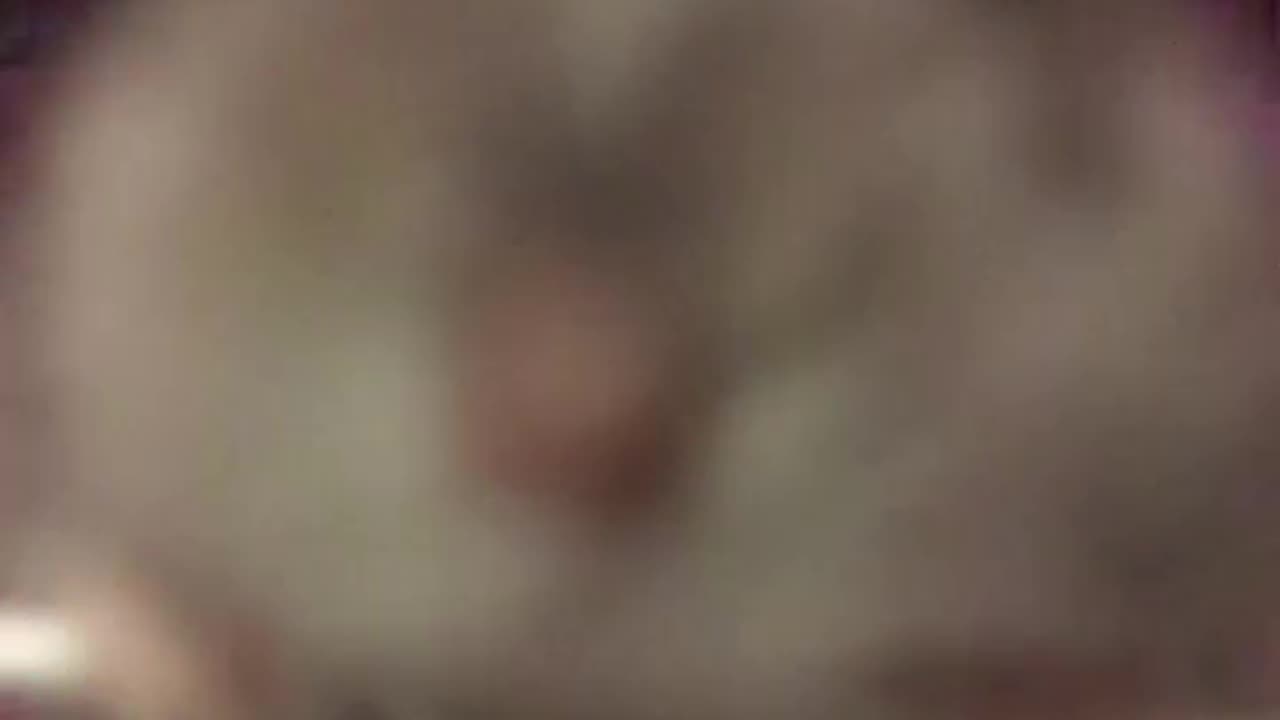 peekaboo