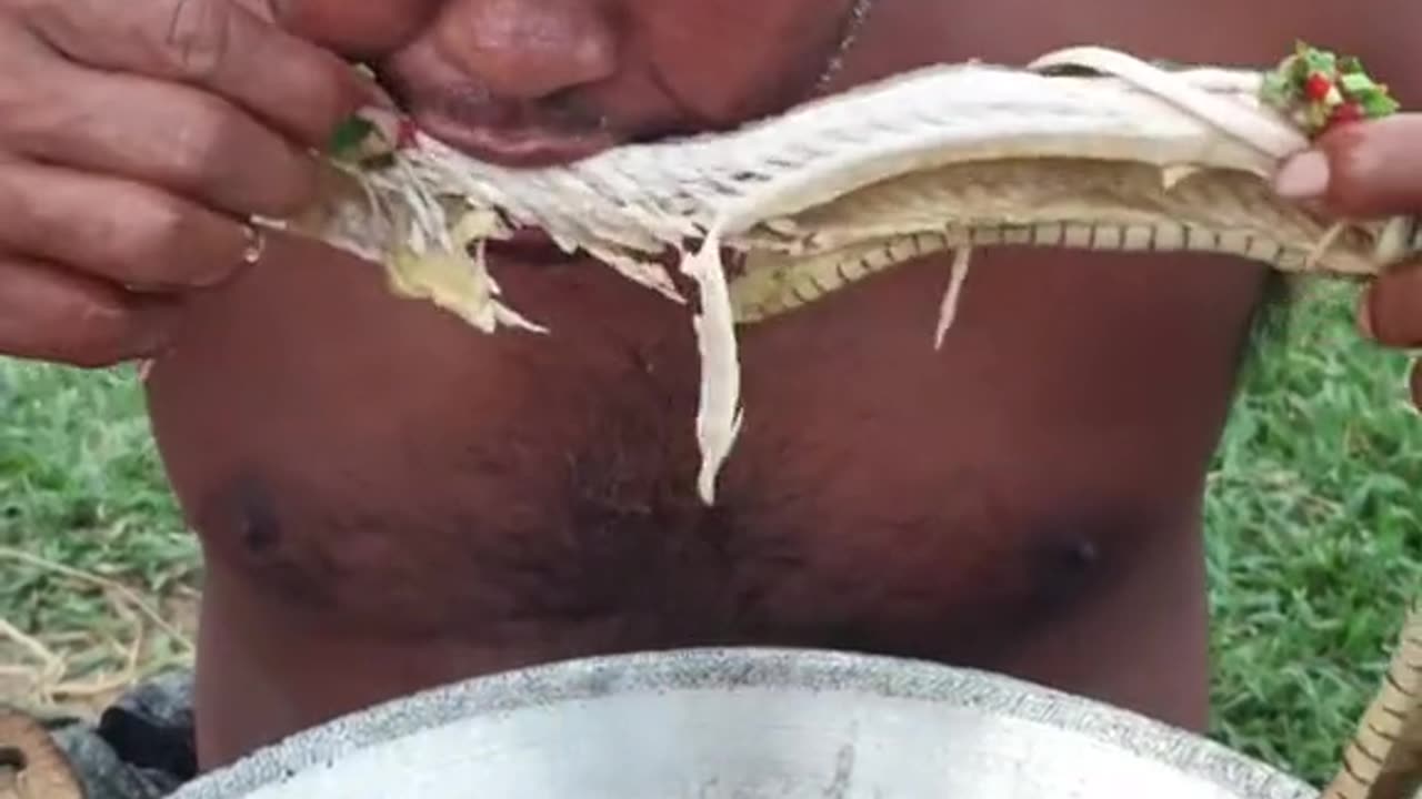 Almoço com cobra ao molho