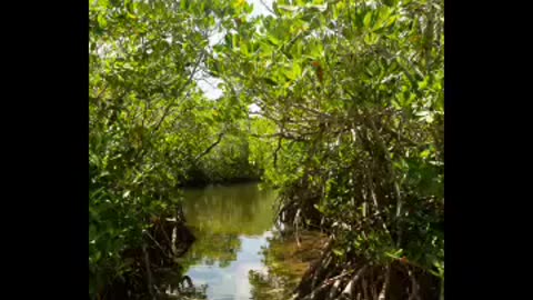 John penecamp state park