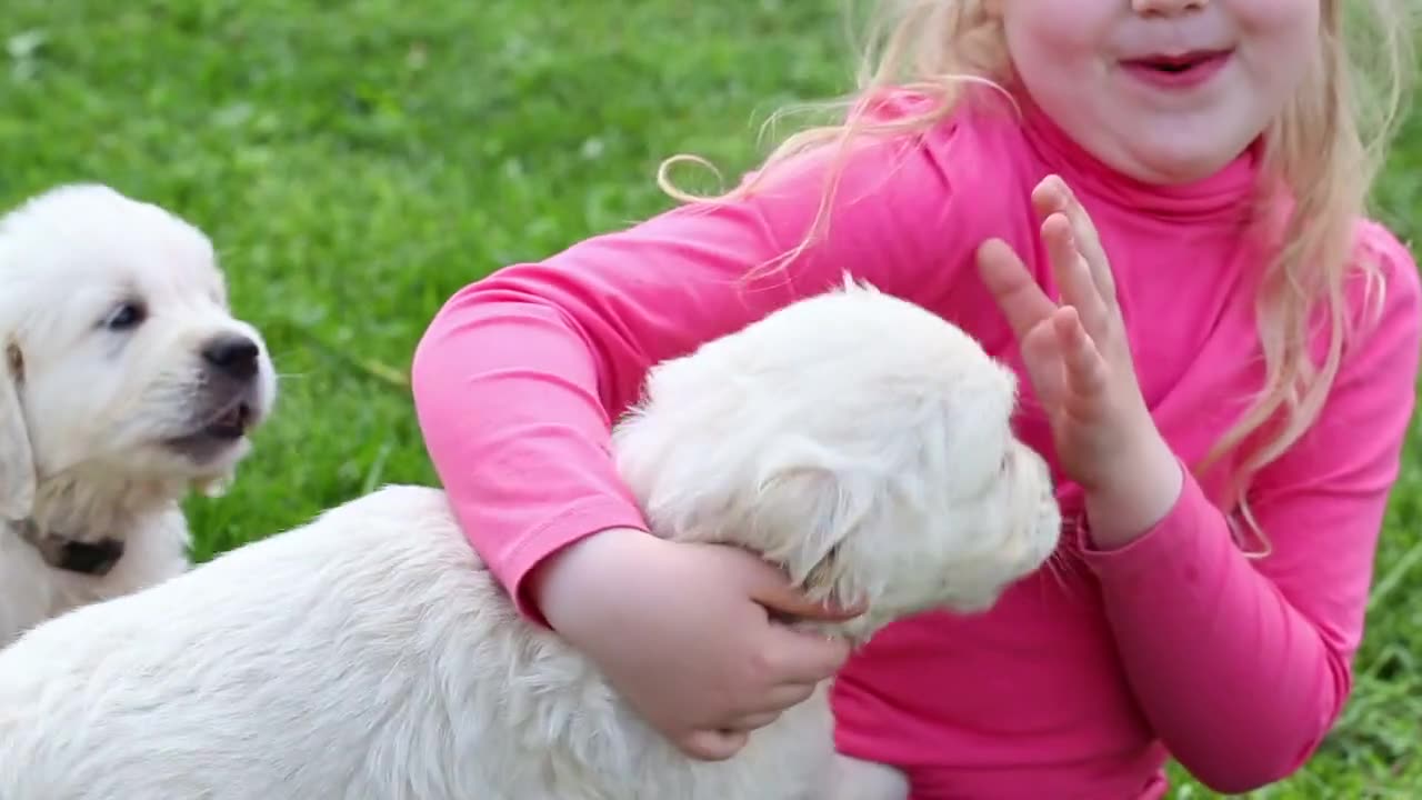 How Dogs Help Calm the Nervous System for Kids with Autism