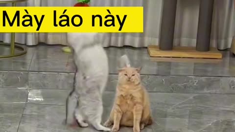 Funny 😆😅🤣