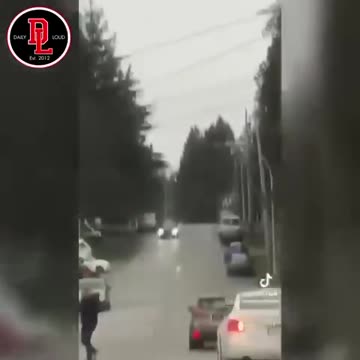 bird SUSPENDED IN THE SKY, not moving