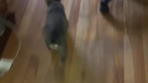 run