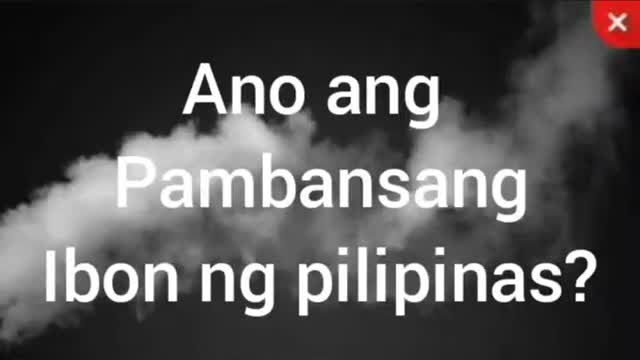 Ano ang Pambansang Ibon Ng Pilipinas