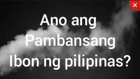 Ano ang Pambansang Ibon Ng Pilipinas