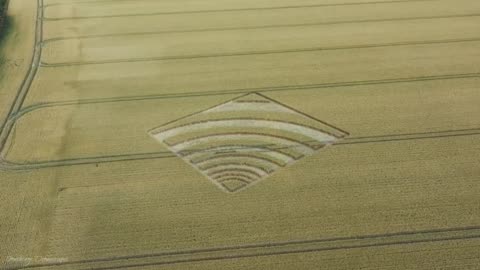 REMEMBER CROP CIRCLES ?