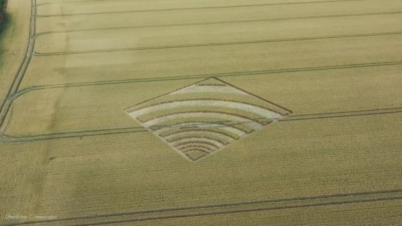 REMEMBER CROP CIRCLES ?