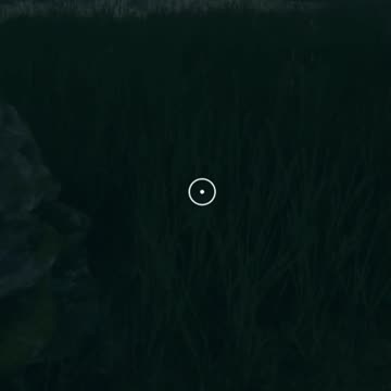 The Yoga Nut! Hunter Call of the Wild