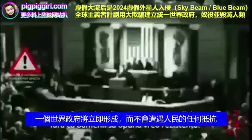 1995人口控制计划揭秘