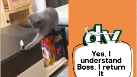 I Understand Boss