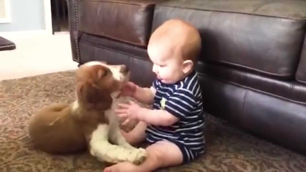 Cute baby play with dog