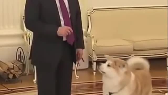 Putin and his puppy