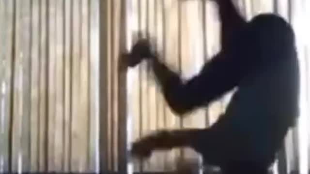 show random video from your gallery