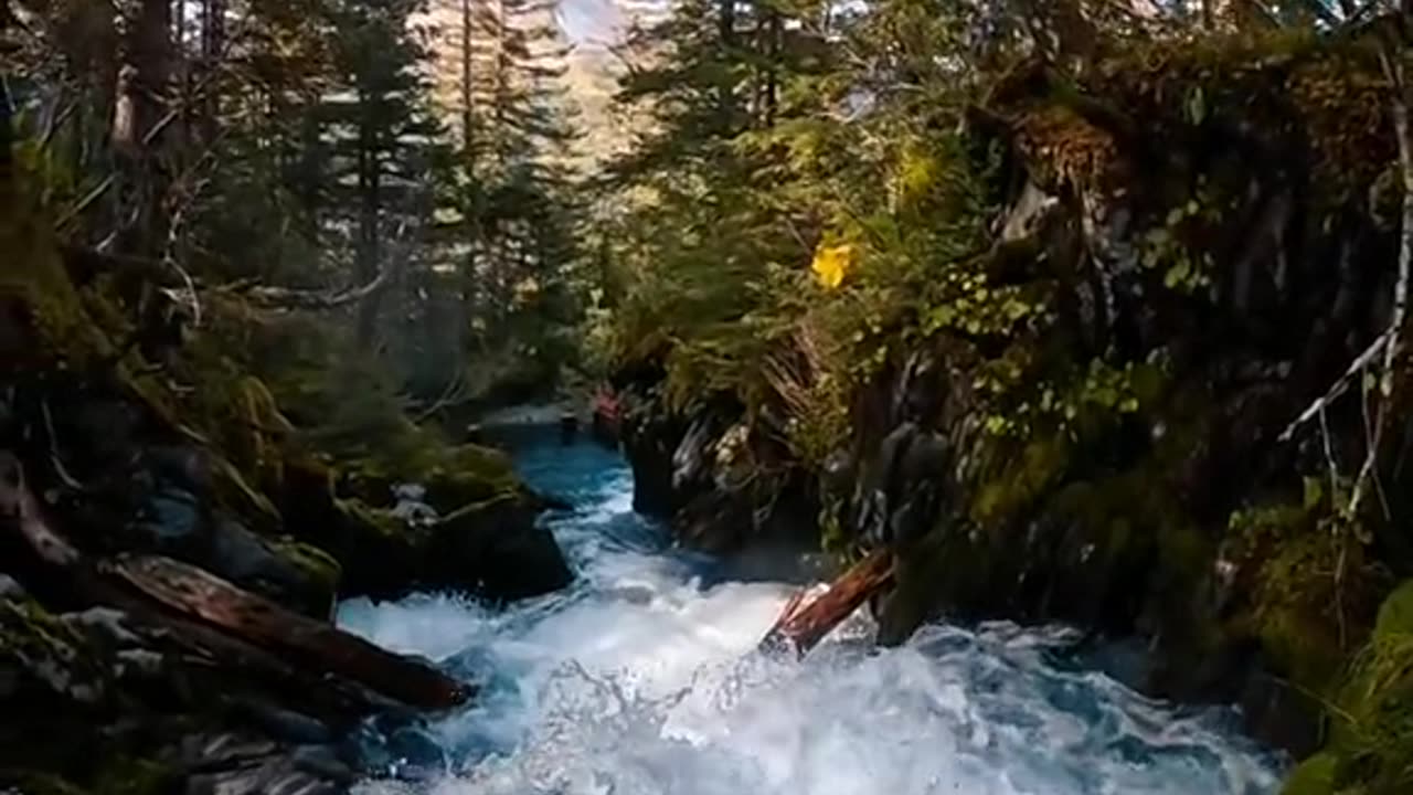 Nature at its best