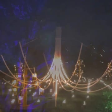 Chicago Botanic Garden - LightScape