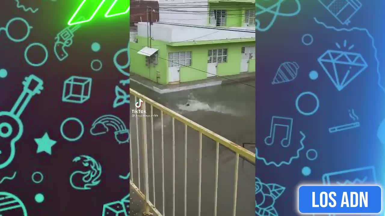 Si te rries pierdes PURO HUMOR M3XICANO 😂 (SI TE RIES PIERDES)