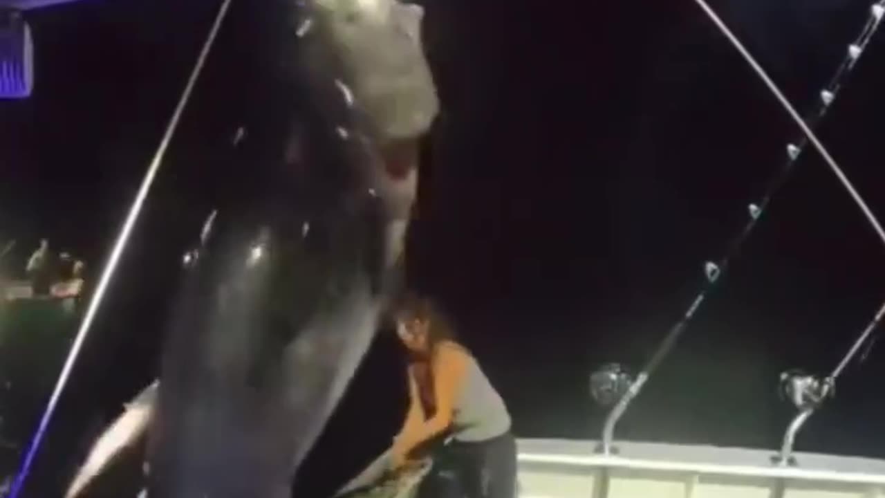 Giant bluefin landed solo by a woman off the coast of Hampton Beach