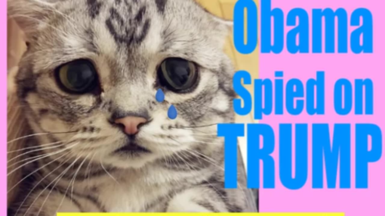 Obama Spied on Trump