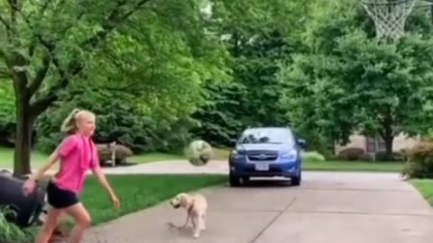 Dog funny video 😅😅😅😅😅