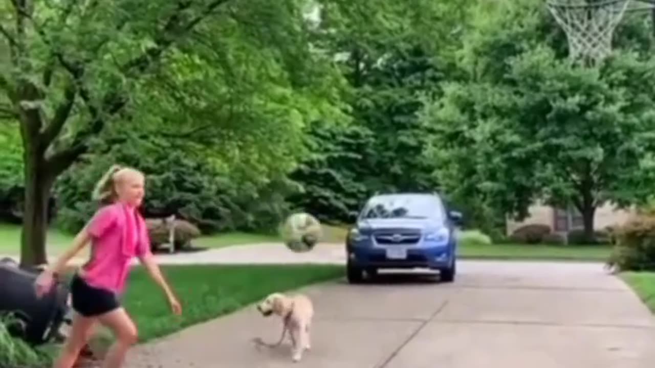 Dog funny video 😅😅😅😅😅