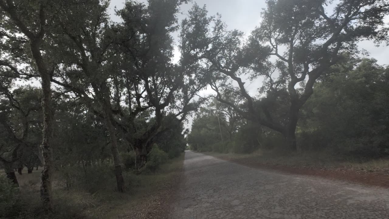 E-BIKE RIDE pela MS e-st 900 S05E21 5th of Oct 2K24 PART 17