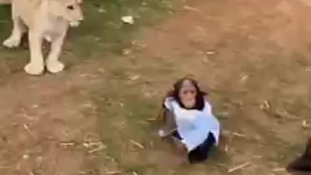best animal video in the world.if you enjoy please following me