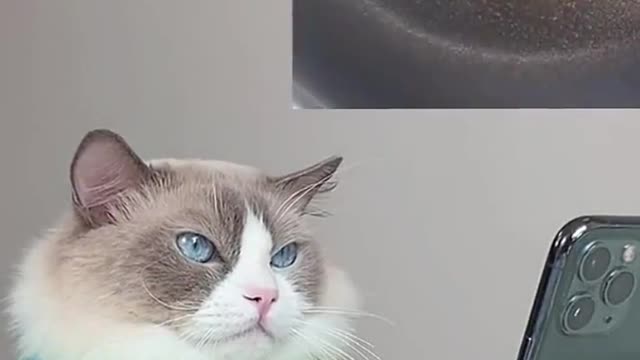 Let’s keep going with the eggs~