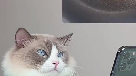 Let’s keep going with the eggs~