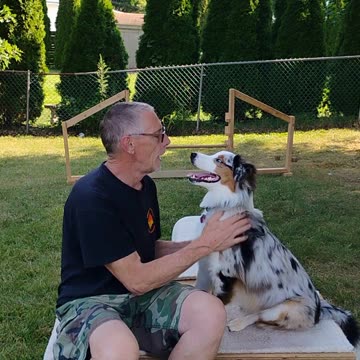 Platform Balance Beam Hurdle 7