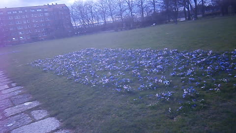 Margaretaplatsen, Helsingborg 7 April 2016