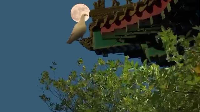 All things renew, the old disease should be healed, Chang 'an is always in.