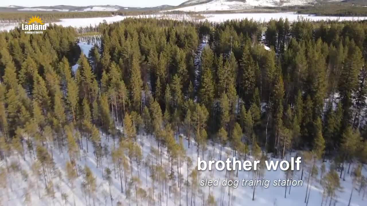 Lapland - Brother wolf sled dog station