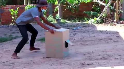 Dog best action