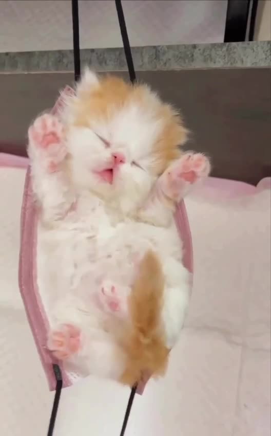 Face mask used as intended