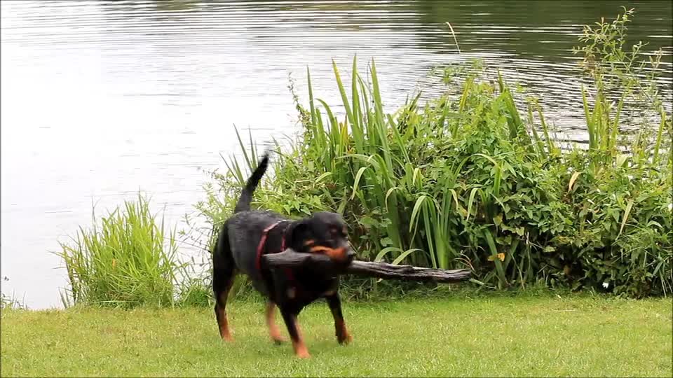 It's fresh from the lake