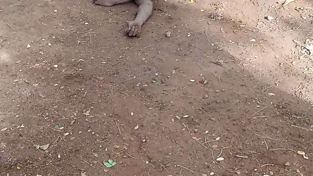Man found in a car with his ball and penis out!!!