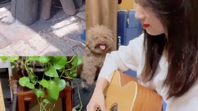 打铁的大爷,铁打的Jay神曲打铁版晴天节奏感绝了稻香打铁