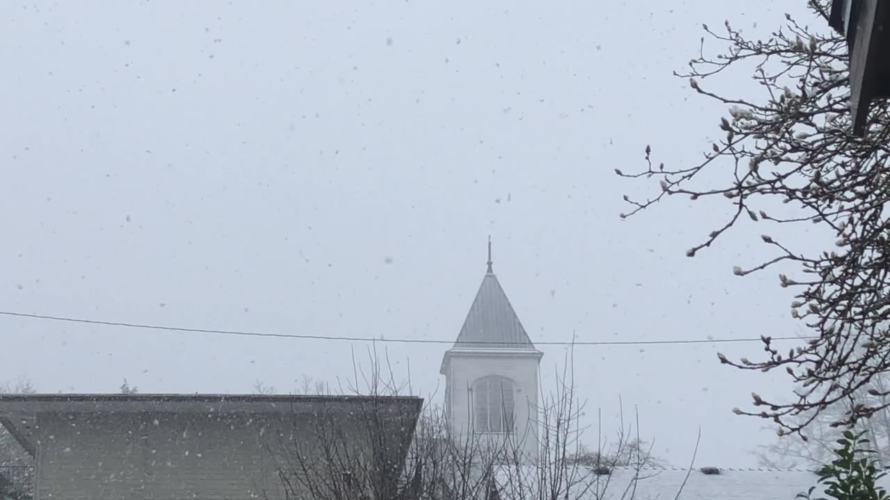Snow