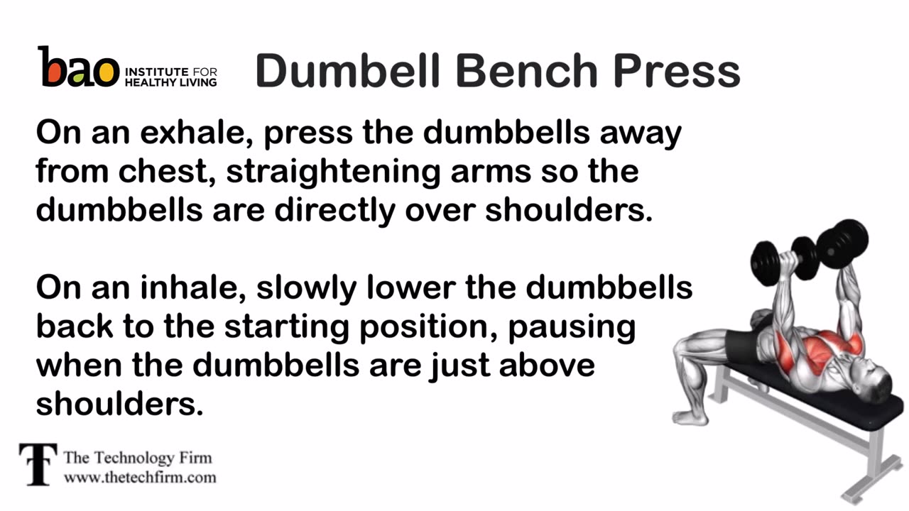 Dumbell Bench Press