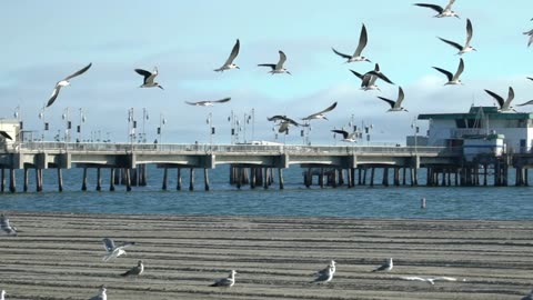 beautiful ❤️😍