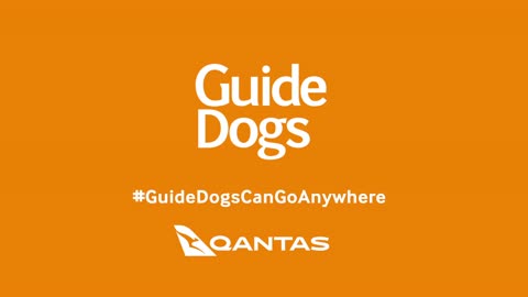 Guide Dogs