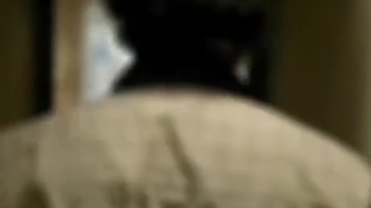 Pablo.
