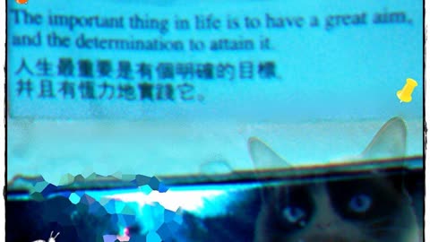 'great aim..' quote + Piano solo music