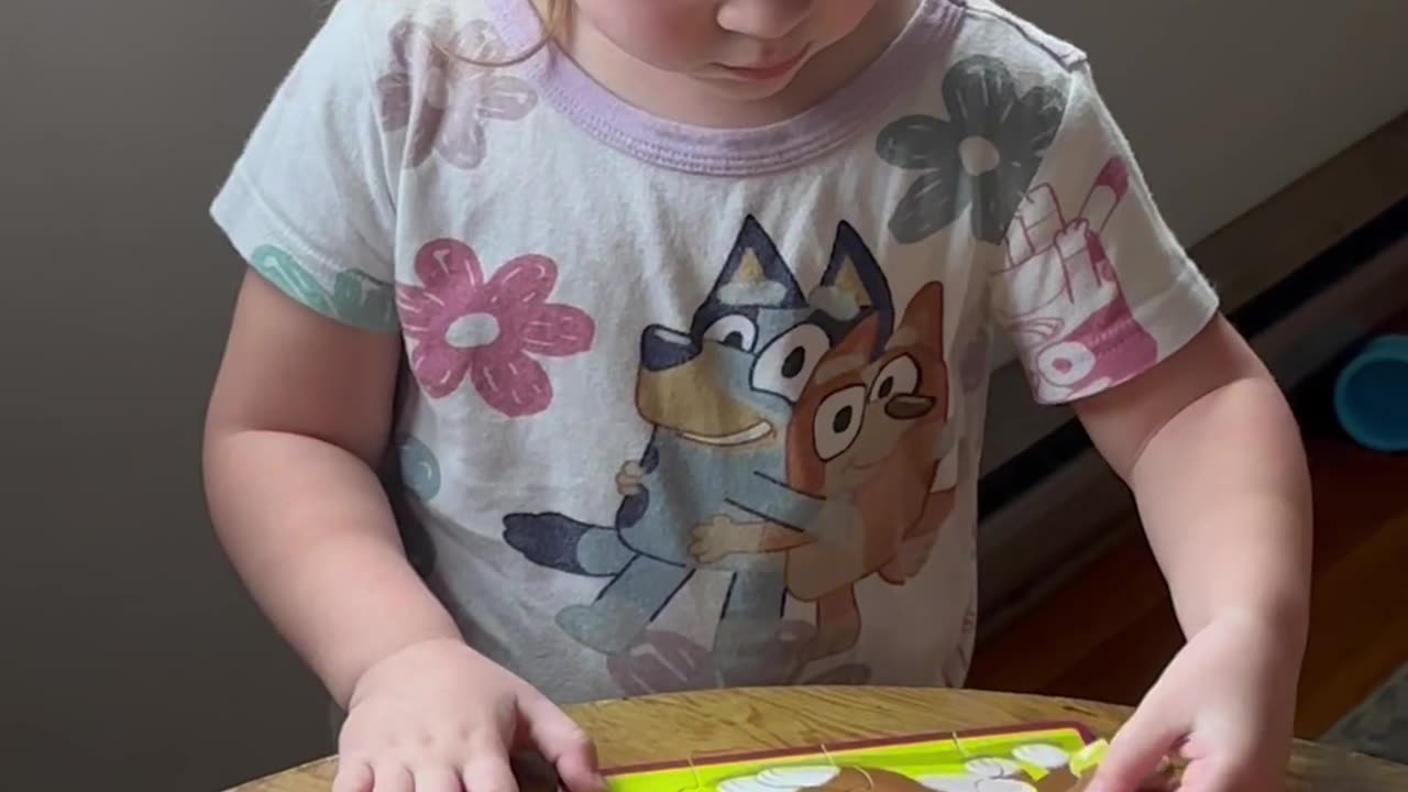 Toddler needs new puzzles