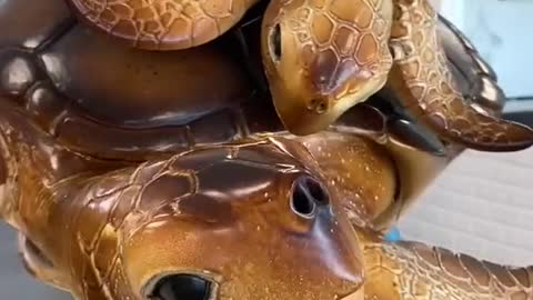 Chocolate Sea Turtle