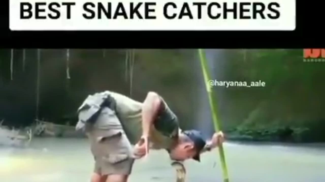 Best snake catchers in the world