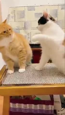 Wife:Don't make a sound when you sleep. Husband:!!